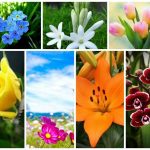 Dịch vụ giải thể doanh nghiệp tại Quận Cái Răng 6 Muốn dịch vụ giải thể doanh nghiệp tại Quận Cái Răng