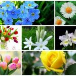Dịch vụ giải thể doanh nghiệp tại Quận Cầu Giấy 6 Muốn dịch vụ giải thể doanh nghiệp tại Quận Cầu Giấy
