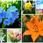 Muốn dịch vụ giải thể doanh nghiệp tại Quận Đồ Sơn