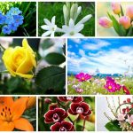 Dịch vụ giải thể doanh nghiệp tại Quận Đống Đa 6 Muốn dịch vụ giải thể doanh nghiệp tại Quận Đống Đa