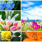 Dịch vụ giải thể doanh nghiệp tại Quận Dương Kinh 6 Muốn dịch vụ giải thể doanh nghiệp tại Quận Dương Kinh