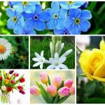 Dịch vụ giải thể doanh nghiệp tại Quận Hà Đông 6 Muốn dịch vụ giải thể doanh nghiệp tại Quận Hà Đông