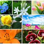 Muốn dịch vụ giải thể doanh nghiệp tại Quận Hải An