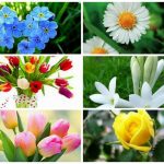Dịch vụ giải thể doanh nghiệp tại Quận Hải Châu 6 Muốn dịch vụ giải thể doanh nghiệp tại Quận Hải Châu
