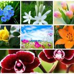 Muốn dịch vụ giải thể doanh nghiệp tại Quận Hồng Bàng