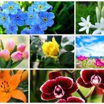 Muốn dịch vụ giải thể doanh nghiệp tại Quận Kiến An