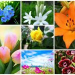 Muốn dịch vụ giải thể doanh nghiệp tại Quận Lê Chân