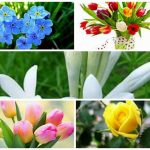 Dịch vụ giải thể doanh nghiệp tại Quận Liên Chiểu 6 Muốn dịch vụ giải thể doanh nghiệp tại Quận Liên Chiểu