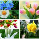 Dịch vụ giải thể doanh nghiệp tại Quận Nam Từ Liêm 6 Muốn dịch vụ giải thể doanh nghiệp tại Quận Nam Từ Liêm