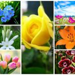 Muốn dịch vụ giải thể doanh nghiệp tại Quận Ngô Quyền