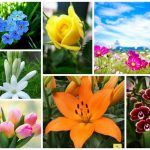 Dịch vụ giải thể doanh nghiệp tại Quận Ngũ Hành Sơn 6 Muốn dịch vụ giải thể doanh nghiệp tại Quận Ngũ Hành Sơn