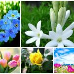Dịch vụ giải thể doanh nghiệp tại Quận Ô Môn 6 Muốn dịch vụ giải thể doanh nghiệp tại Quận Ninh Kiều