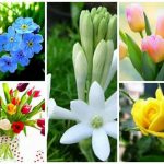 Dịch vụ giải thể doanh nghiệp tại Quận Sơn Trà 6 Muốn dịch vụ giải thể doanh nghiệp tại Quận Sơn Trà
