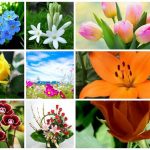 Dịch vụ giải thể doanh nghiệp tại Quận Thanh Khê 6 Muốn dịch vụ giải thể doanh nghiệp tại Quận Thanh Khê