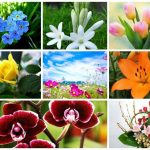 Dịch vụ giải thể doanh nghiệp tại Quảng Bình 6 Muốn dịch vụ giải thể doanh nghiệp tại Quảng Bình
