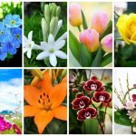 Dịch vụ giải thể doanh nghiệp tại Quảng Ninh 6 Muốn dịch vụ giải thể doanh nghiệp tại Quảng Ninh
