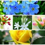 Dịch vụ giải thể doanh nghiệp tại Quảng Trị 6 Muốn dịch vụ giải thể doanh nghiệp tại Quảng Trị