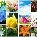 Dịch vụ giải thể doanh nghiệp tại Thái Bình 6 Muốn dịch vụ giải thể doanh nghiệp tại Thái Bình