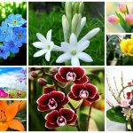 Dịch vụ giải thể doanh nghiệp tại Thái Nguyên 6 Muốn dịch vụ giải thể doanh nghiệp tại Thái Nguyên