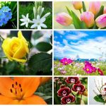 Dịch vụ giải thể doanh nghiệp tại Thanh Hóa 6 Muốn dịch vụ giải thể doanh nghiệp tại Thanh Hóa