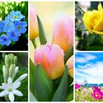 Dịch vụ giải thể doanh nghiệp tại Thành phố Hồ Chí Minh 6 Muốn dịch vụ giải thể doanh nghiệp tại Thành phố Hồ Chí Minh