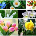 Dịch vụ giải thể doanh nghiệp tại Thừa Thiên Huế 6 Muốn dịch vụ giải thể doanh nghiệp tại Thừa Thiên Huế