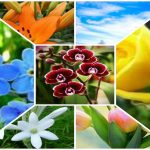 Dịch vụ giải thể doanh nghiệp tại Vĩnh Phúc 6 Địa chỉ dịch vụ giải thể doanh nghiệp tại Vĩnh Phúc