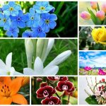 Dịch vụ giải thể doanh nghiệp tại Vũng Tàu 6 Muốn dịch vụ giải thể doanh nghiệp tại Vũng Tàu