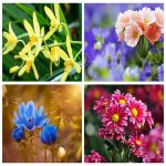 Thành lập công ty kinh doanh bất động sản tại Vĩnh Phúc 6 Tìm thành lập công ty kinh doanh BĐS tại Vĩnh Phúc