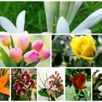 Dịch vụ giải thể công ty trọn gói tại Bắc Giang 6 Cần dịch vụ giải thể doanh nghiệp tại Bắc Giang