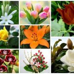 Dịch vụ giải thể công ty trọn gói tại Bắc Kạn 6 Cần dịch vụ giải thể doanh nghiệp tại Bắc Kạn