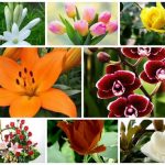 Dịch vụ giải thể công ty trọn gói tại Bình Định 6 Cần dịch vụ giải thể doanh nghiệp tại Bình Định