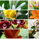 Dịch vụ giải thể công ty trọn gói tại Bình Thuận 6 Cần dịch vụ giải thể doanh nghiệp tại Bình Thuận
