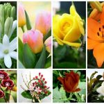 Dịch vụ giải thể công ty trọn gói tại Cà Mau 6 Cần dịch vụ giải thể doanh nghiệp tại Cà Mau