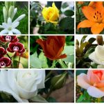 Dịch vụ giải thể công ty trọn gói tại Cần Thơ 6 Cần dịch vụ giải thể doanh nghiệp tại Cần Thơ