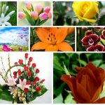 Dịch vụ giải thể công ty trọn gói tại Hà Nội 6 Cần dịch vụ giải thể doanh nghiệp tại Hà Nội