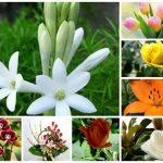 Dịch vụ giải thể công ty trọn gói tại Hà Tĩnh 6 Cần dịch vụ giải thể doanh nghiệp tại Hà Tĩnh