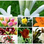 Dịch vụ giải thể công ty trọn gói tại Hải Dương nhanh, tiết kiệm và đúng luật 4 Dịch vụ giải thể công ty trọn gói tại Hải Dương