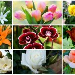 Cần dịch vụ giải thể doanh nghiệp tại Hải Phòng