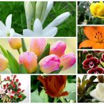 Dịch vụ giải thể công ty trọn gói tại Hậu Giang 6 Cần dịch vụ giải thể doanh nghiệp tại Hậu Giang