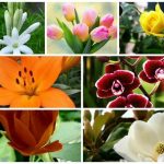 Dịch vụ giải thể công ty trọn gói tại Hòa Bình 6 Cần dịch vụ giải thể doanh nghiệp tại Hòa Bình