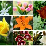 Dịch vụ giải thể công ty trọn gói tại Huế 6 Cần dịch vụ giải thể doanh nghiệp tại Huế