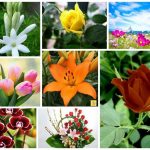 Dịch vụ giải thể công ty trọn gói tại Huyện Chương Mỹ 6 Cần dịch vụ giải thể doanh nghiệp tại Huyện Chương Mỹ