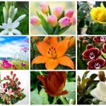 Dịch Vụ Giải Thể Công Ty Trọn Gói Tại Huyện Hoài Đức | Chuyên Nghiệp, Nhanh Chóng 6 Cần dịch vụ giải thể doanh nghiệp tại Huyện Hoài Đức