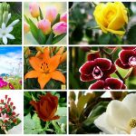 Dịch vụ giải thể công ty trọn gói tại Huyện Mê Linh 6 Cần dịch vụ giải thể doanh nghiệp tại Huyện Mê Linh