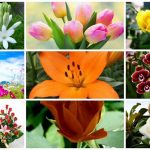 Dịch vụ giải thể công ty trọn gói tại Huyện Mỹ Đức 6 Cần dịch vụ giải thể doanh nghiệp tại Huyện Mỹ Đức