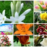 Dịch vụ giải thể công ty trọn gói tại Huyện Phú Xuyên 6 Cần dịch vụ giải thể doanh nghiệp tại Huyện Phú Xuyên