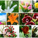 Dịch vụ giải thể công ty trọn gói tại Huyện Thạch Thất 6 Cần dịch vụ giải thể doanh nghiệp tại Huyện Thạch Thất
