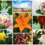 Dịch vụ giải thể công ty trọn gói tại Huyện Thanh Oai 6 Cần dịch vụ giải thể doanh nghiệp tại Huyện Thanh Oai