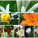 Cần dịch vụ giải thể doanh nghiệp tại Huyện Thới Lai